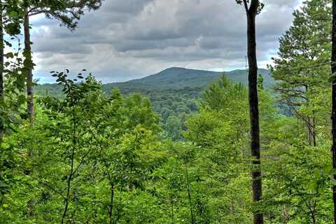 Lot 4 Hemptown Overlook, Morganton, GA 30560