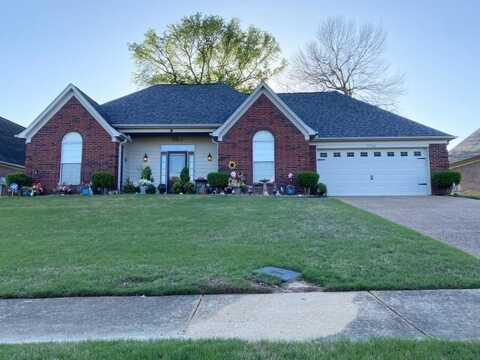 7741 Meadow Ridge, Olive Branch, MS 38654