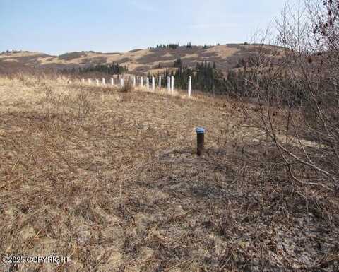 Lot 10 View Estates, Anchor Point, AK 99556