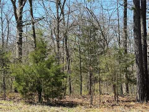TBD Berks LN, Bella Vista, AR 72714