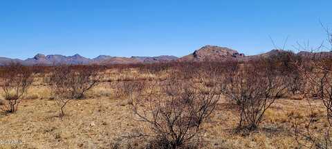 Lot 12/13a E Whitaker Lane, Douglas, AZ 85067