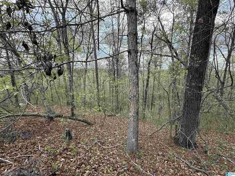 8362 OLD HIGHWAY 280, CHELSEA, AL 35043