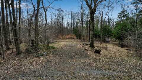 3436 Dunham Road, Orangeville Center, NY 14569