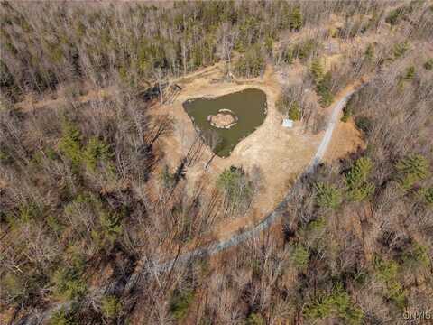 00 Black Ash Road, Woodhull, NY 14898