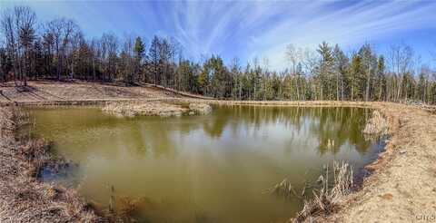 00 Black Ash Road, Woodhull, NY 14898