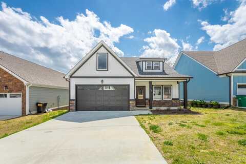 34 Willow Grove Court, Ringgold, GA 30736