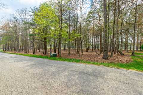 Sunshine Tr, Rising Fawn, GA 30738