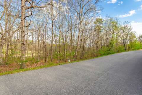 Old Rocky Trail, Rising Fawn, GA 30738
