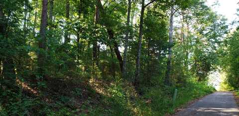 0 Treeline Drive, Dunlap, TN 37327