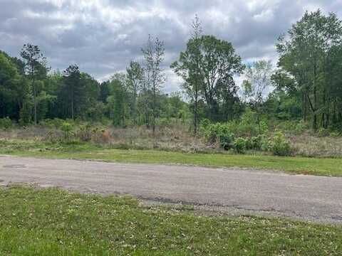 0 Buckskin Drive, Grand Cane, LA 71032