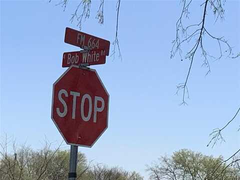 Tbd Fm 664, Waxahachie, TX 75167