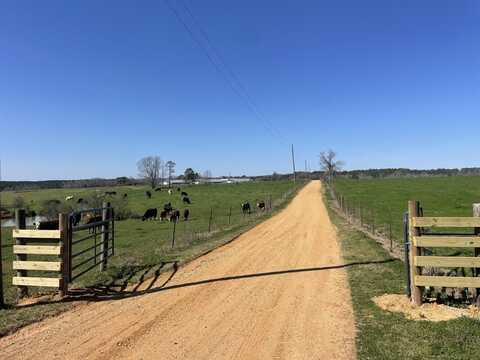 557 Bass Laird Road Tract A, Prentiss, MS 39474