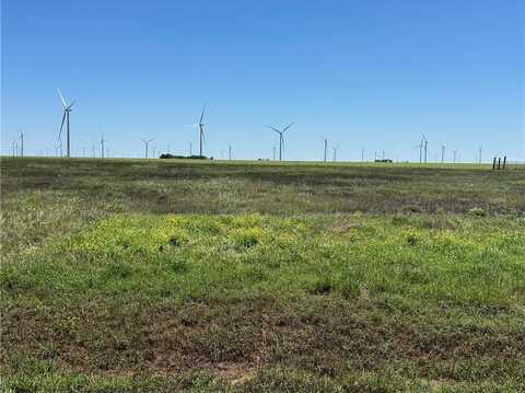 20331 County Road 796, Tynan, TX 78391