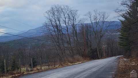 0 Route 20 & Prink Hill, Durham, NY 12423