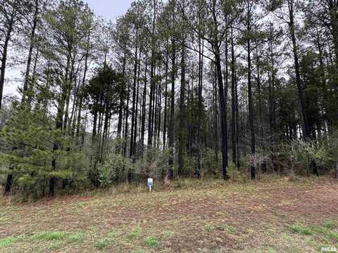 Lot 122&123 DEER Lane, Goreville, IL 62939