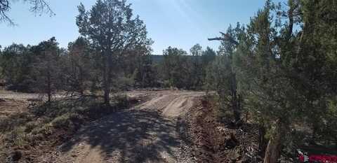 6794 County Road 318, Ignacio, CO 81137