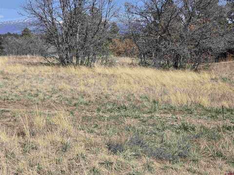 1151 Trails Boulevard, Pagosa Springs, CO 81147