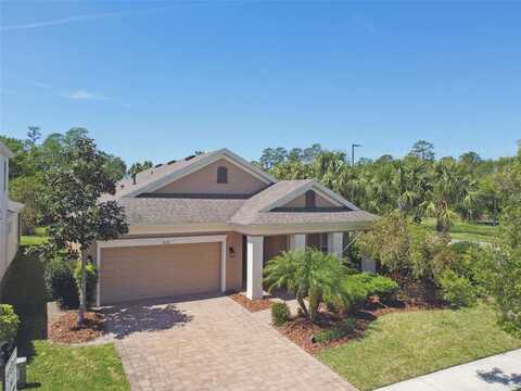 3822 BALCONY BREEZE DRIVE, LAND O LAKES, FL 34638