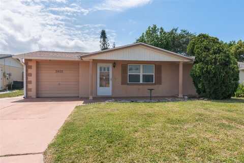 3902 BADEN DRIVE, HOLIDAY, FL 34691