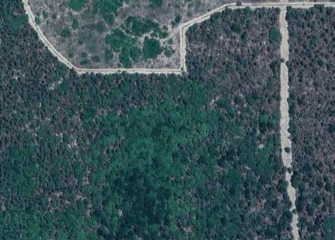 SW 15 PLACE, OCALA, FL 34481