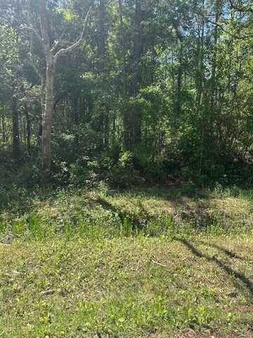 Lot 38 E. Lamar Street, Bay Saint Louis, MS 39520