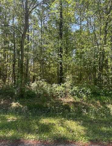 Lot 43 E. Lamar Street, Bay Saint Louis, MS 39520