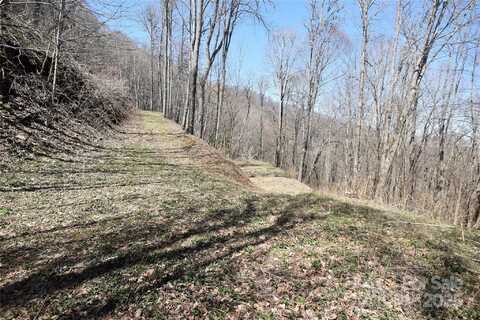 Big Laurel Road unit: A-16 & A-17, Waynesville, NC 28785