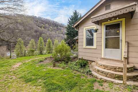 1041 Groundhog Road, Canton, NC 28716