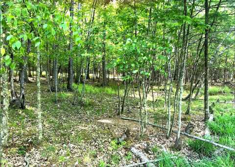 58 Hawks Nest Drive, Hawley, PA 18428
