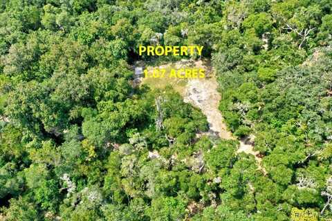 10848 E Carr Lane, Inverness, FL 34450