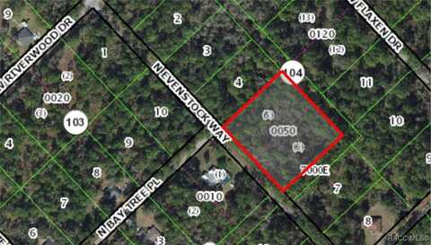 9219 N Evenstock Way, Crystal River, FL 34428