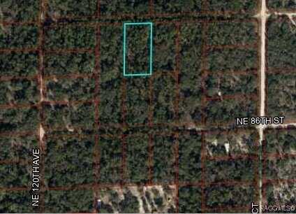 NE 87th Place, Bronson, FL 32621
