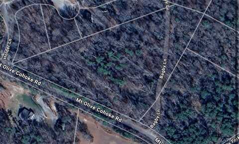 1979 Mount Olive Cohoke Road, King William, VA 23086