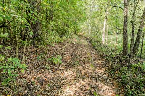O B Davis Road, Delano, TN 37325
