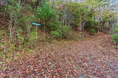 69 & 81 Winter Moon Ridge, Sylva, NC 28779