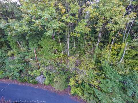NW VALLE VISTA TER, Portland, OR 97210
