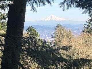 NW VALLE VISTA TER, Portland, OR 97210