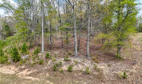 25 Oakhurst Boulevard, Oxford, GA 30054