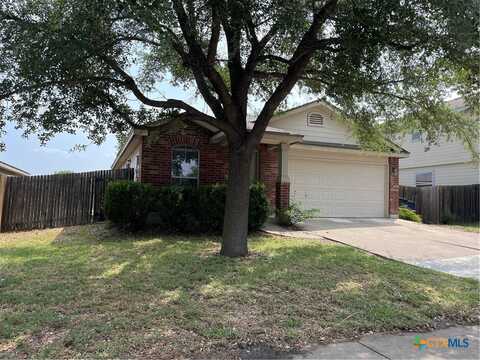 240 Ibis Falls Drive, New Braunfels, TX 78130