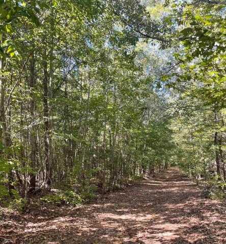 165-197 Meadow Green Lane, Woodruff, SC 29388