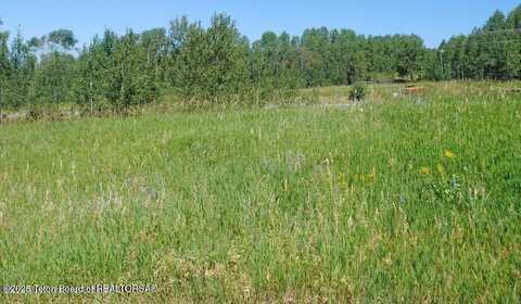 WEST ELKHORN Drive, Star Valley Ranch, WY 83127