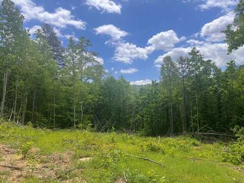 1259 Shepherd Fork Rd, West Portsmouth, OH 45663