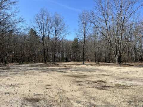 Vl S 192nd Avenue, Hesperia, MI 49421