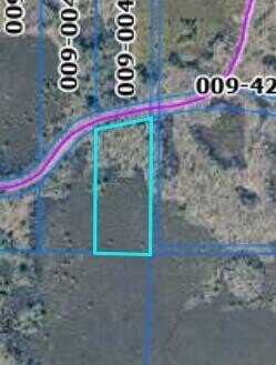 V/L 0000 W CROOKED LAKE RD, Lake City, MI 49651