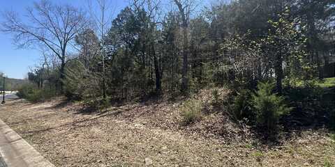 Lot 42 Olympic Drive Drive, Branson, MO 65616
