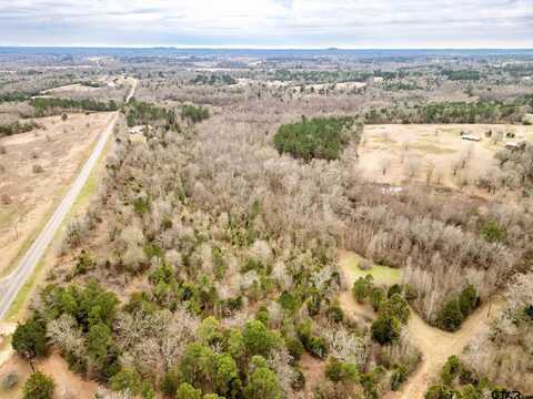 TBD FM2454 10 Acres, Gilmer, TX 75644
