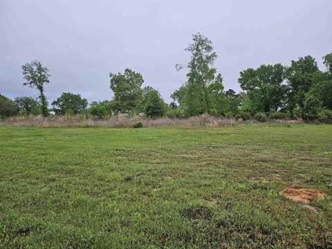 422 Deer Point Cove, Chandler, TX 75758