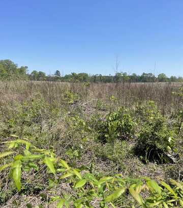00 Gamble Rd, Prentiss, MS 39474