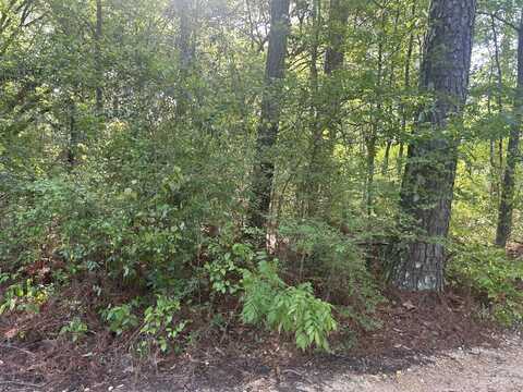 3101 Old Amy Rd., Laurel, MS 39443