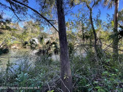 River Point, Weeki Wachee, FL 34607